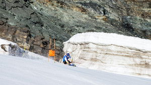 Allies in Competition