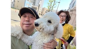 Episode 75