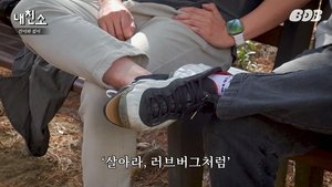Episode 15