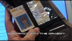 Contract With The Dragon