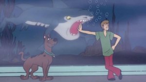 There's a Demon Shark in the Foggy Dark