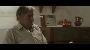 Episode 78