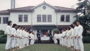 7 Straight!! Necessary The Shooting Fist Of The Hell