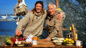 A Seagull in Horsens