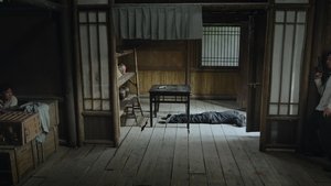 Episode 29