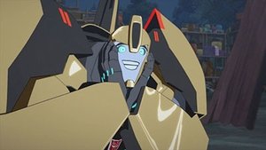 Adventures in Bumblebee-sitting!