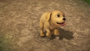 Dog Days