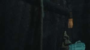 Episode 36