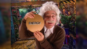 Sharks, Beakmania & Einstein