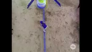 Episode 17