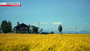 Higashikawa: Picture-Perfect Town