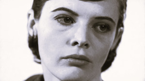 Only by Cunning Glimpses