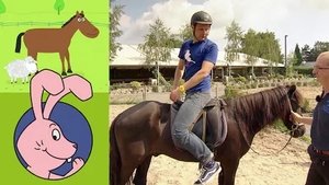 Episode 283