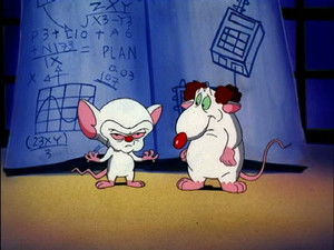 Pinky & The Brain ...and Larry