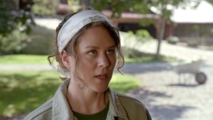 Episode 4416