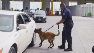 Dashing Through the Snow