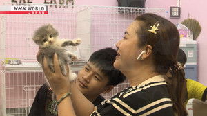 A New Passion for Pets: Thailand