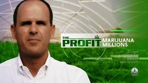 Marijuana Millions