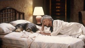 Joust Between Friends