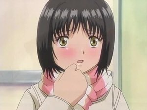 The Festival, fireworks and...