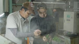 Episode 608