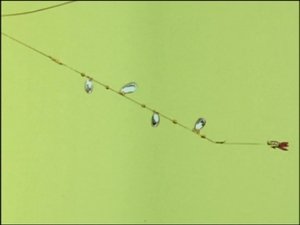 Episode 61
