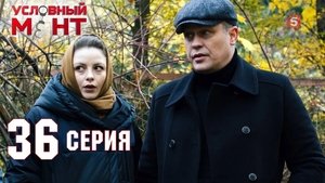 Episode 36