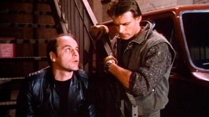 Reflections in Terror