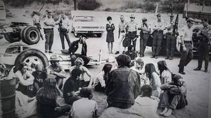 Manson Family Cars