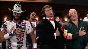 May 31, 1993 - Raw #19