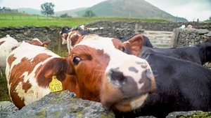 Cumbria