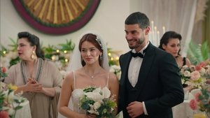Episode 17