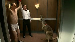 Stuck in an Elevator