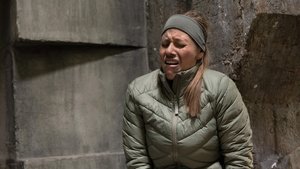 Episode 193