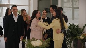 Episode 113
