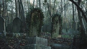 Mysterious Urban Legends