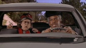 Driving Miss Schott