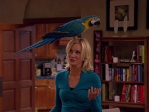 The Parrot Trap