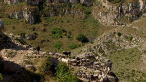 From the Stones to the Stars