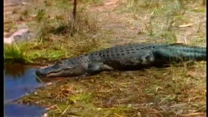 Land of the Quaking Earth