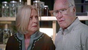 In Which Addison Has a Very Casual Get-Together