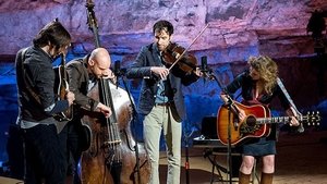 Andrew Bird