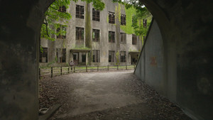 Japan's Poison Island