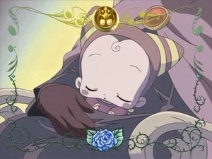 Look for the Herb! The Journey of the MAHO-Dou Bus