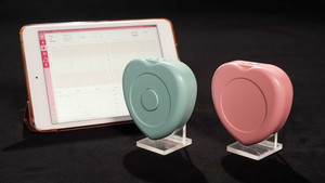 Portable Fetal Monitors
