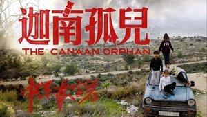 迦南孤儿