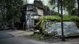 Wolves in Wolves' Clothing