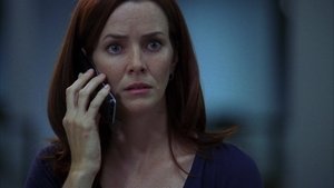 Day 7: 2:00 A.M.-3:00 A.M.