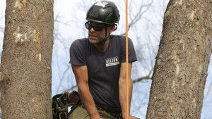 Jeffersonian Honeymoon Suite