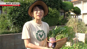 Compost Promoter - Taira Yuiko